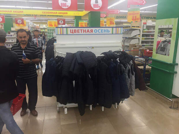 Вот почему осенью лучше уезжать из России листья, осень, печаль, прикол, юмор