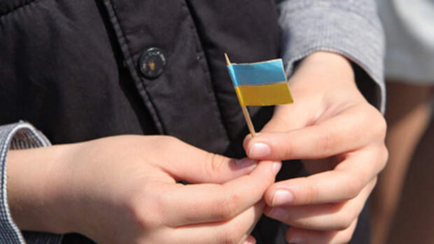 Детей солдат ВСУ в Прибалтике учат партизанской войне - СМИ