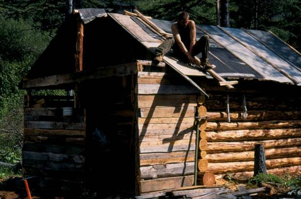 Домик в лесу: о чем подумать заранее