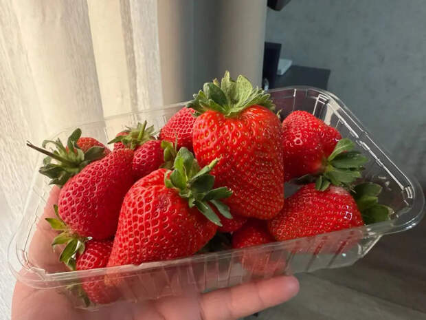 Банановые шкурки больше не мусор: как бесплатная подкормка превращает кислую клубнику в сахарную