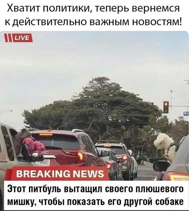 www.vsyako.net