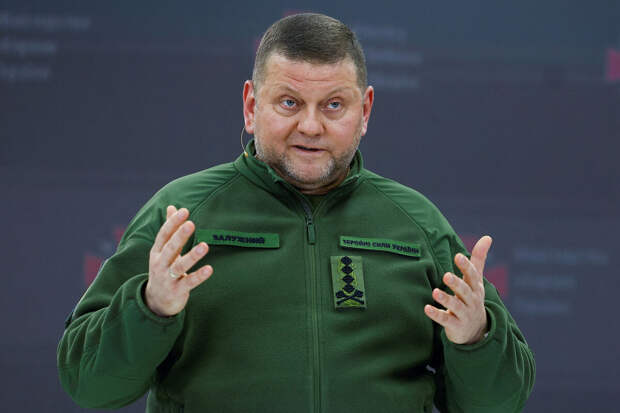 Медведчук назвал борьбу за схемы коррупции возможной причиной отставки Залужного