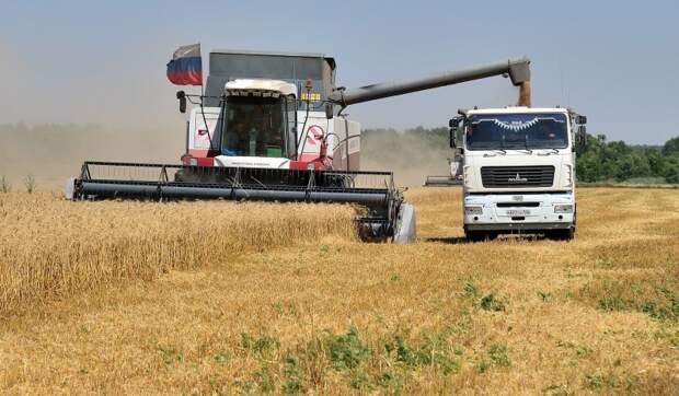 Минсельхоз России: на 20 сентября собрано 117 млн тонн зерна