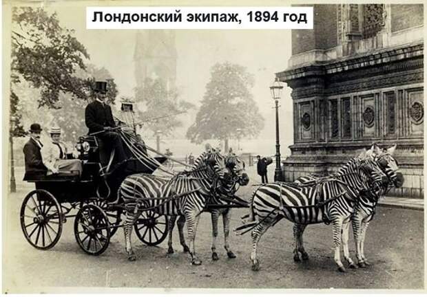 Анекдоты, истории и картинки с надписями