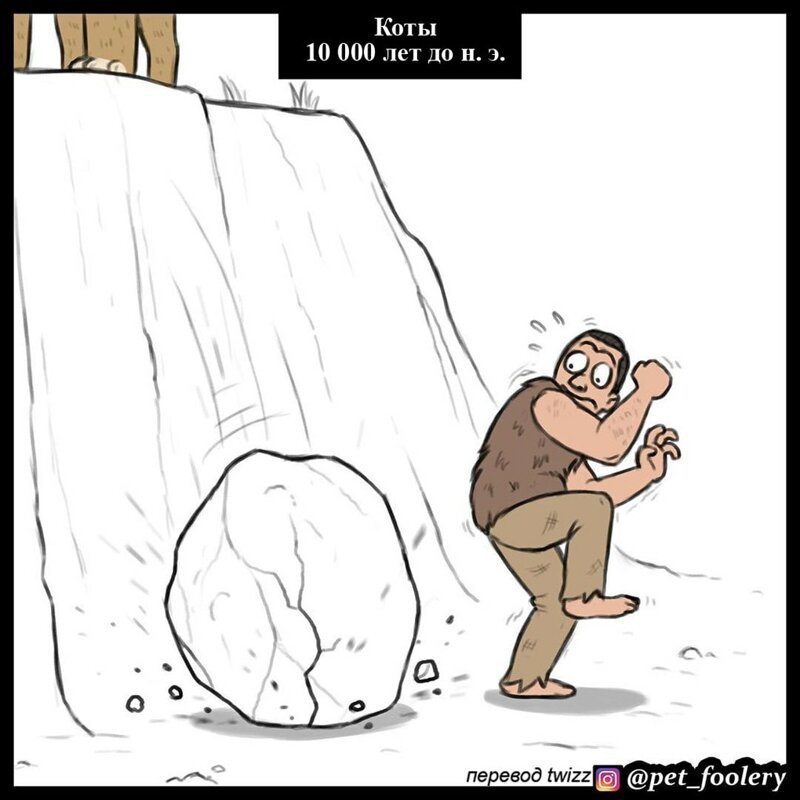 Кошки сегодня VS кошки 10 тысяч лет до нашей эры: основные различия в картинках животные, комикс, кошка, кошки, рисунки, тогда и сейчас, юмор