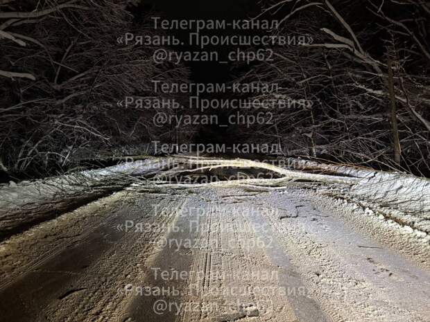 Упавшее дерево перекрыло въезд в рязанский посёлок 