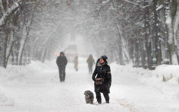 Москве предсказали рекордные сугробы