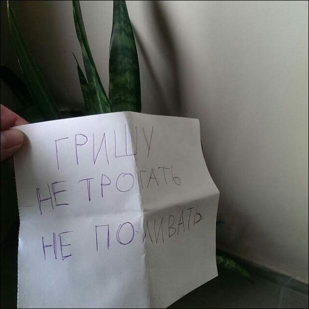 Прикольные надписи и объявления