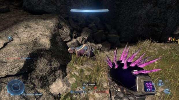 Второй тест Halo Infinite