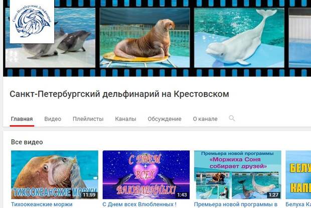 Карта спб дельфинарий