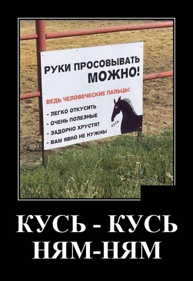 Демотиваторы 5 августа 2021 года