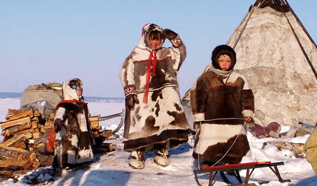 Манси Численность: 12 453 человека Это племя никогда не уходило со своих родных мест: манси до сих пор живут на территории Ханты-Мансийского автономного округа. Охотники манси даже заходят в города, чтобы продать мясо и шкуры животных.