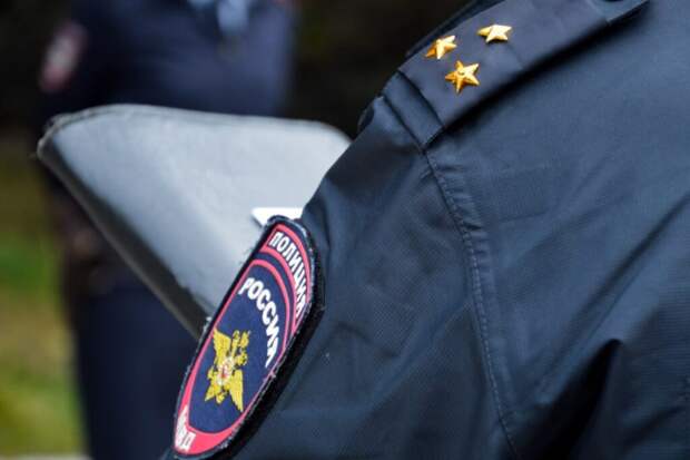 Полиция ищет водителя, раздавившего трех щенков в Туапсе