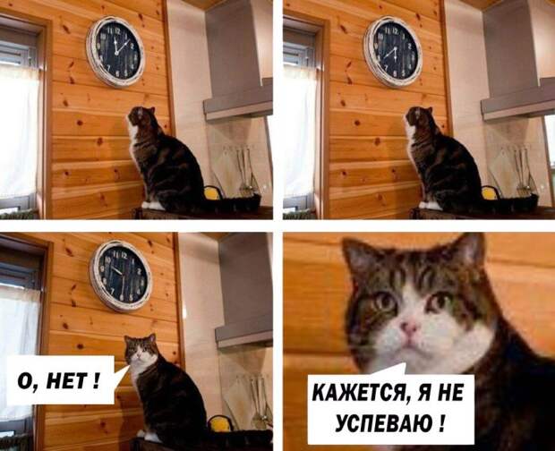 ВЕСЕЛЫЕ КАРТИНКИ С НАДПИСЯМИ ДЛЯ НАСТРОЕНИЯ