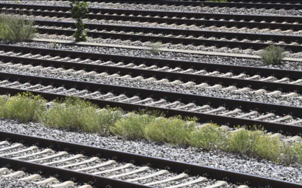 «Ведомости» узнали о планах выделить $30 млрд на железные дороги в Китай