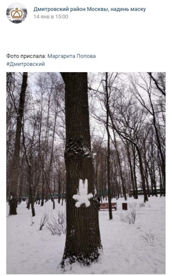 Фото дня: в Дмитровском появились «снежные зайцы»