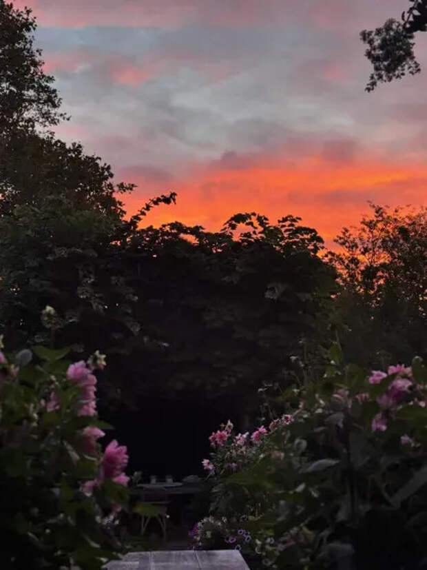 Фото Гвинет Пэлтроу