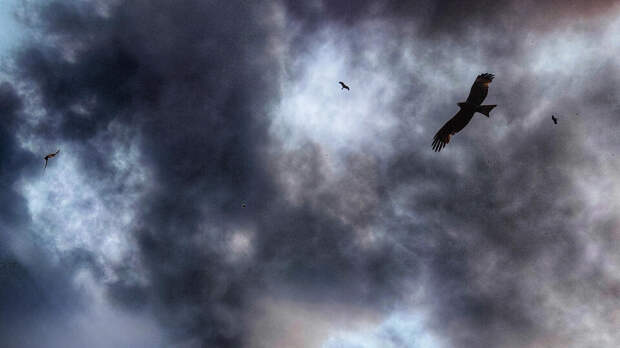 В ОАЭ из-за удара беспилотника загорелся нефтеперерабатывающий завод