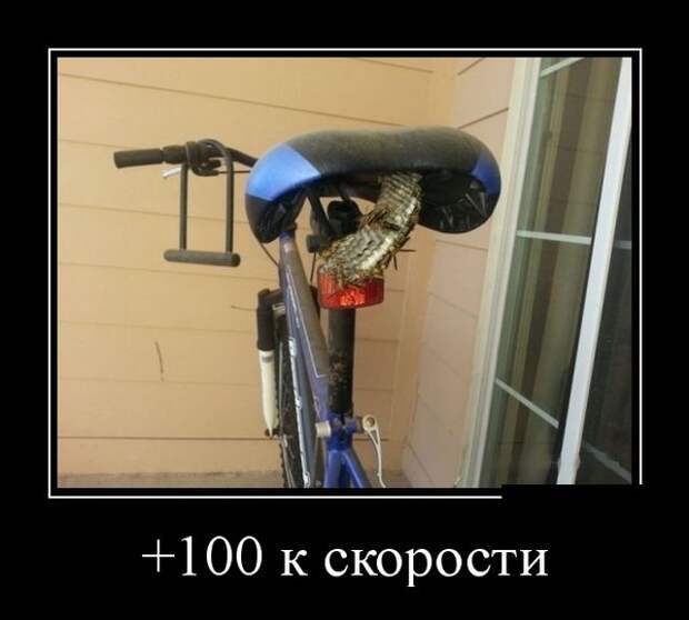 Демотиваторы - 983 Демотиваторы - 983