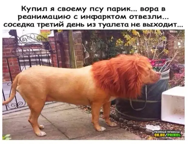 Лучшие годы своей жизни я провел в разврате и пьянстве. Собственно, именно поэтому они и лучшие. Генрих Четвертый Лучшие годы своей жизни я провел в разврате и пьянстве. Собственно, именно поэтому они и лучшие. Генрих Четвертый должны, Любимые, решила, могут, зоопарке, животные, остальные, жирафа, любопытного, очень, вдовой…Изза, стать, завидев, Николая, потомствоНастоящего, сыркаЕдва, плавленого, название, дружба, кажется
