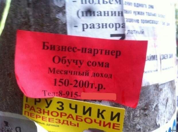 www.vsyako.net