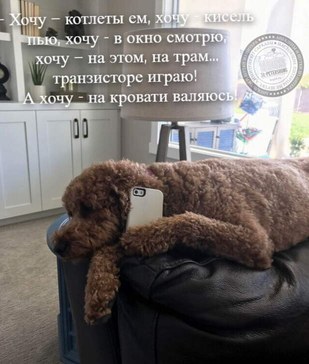 Барбос