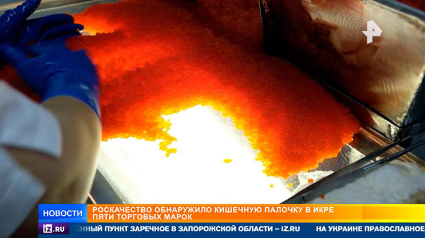 Роскачество нашло кишечную палочку в каждой четвертой банке икры