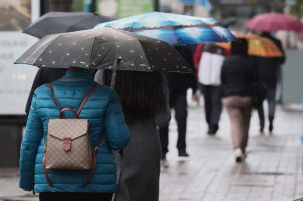 Погода 24 января: днём до +7