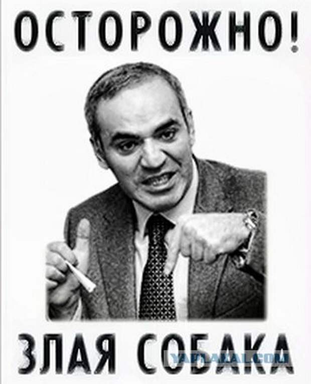 Каспаров подстрекает: «Эстонские солдаты через три дня будут пить пиво в Питере!»