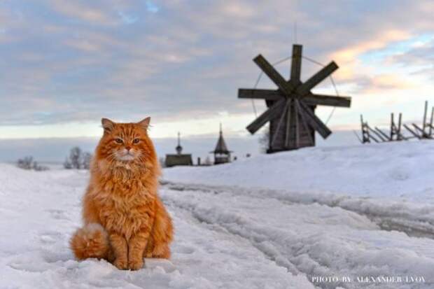 http://www.pravmir.ru/wp-content/uploads/2017/12/11-1-600x400.jpg