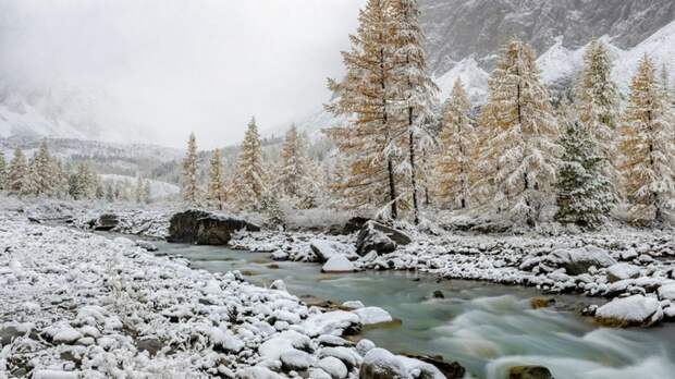 Осень на Алтае / Фото: Евгений Борисов / t.me/borisov_altay