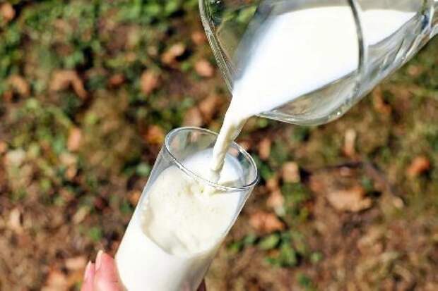Роскачество выявило фальсификат среди ультрапастеризованного молока
