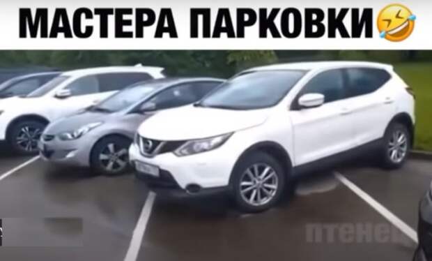 Как паркуются москвичи