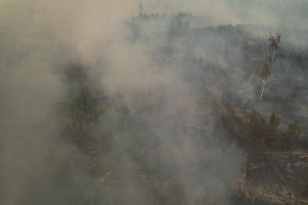 Тушить лесной пожар в Каменском районе направили авиацию и пожарный поезд