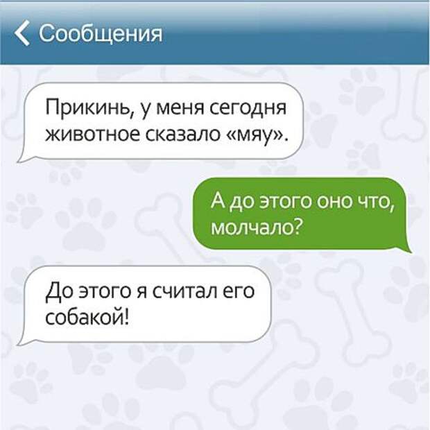 Забавные СМС от владельцев домашних животных)