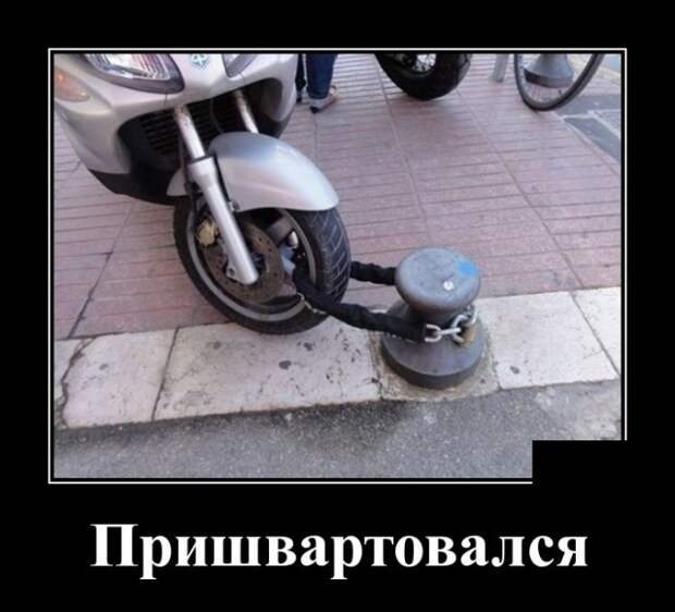 Демотиваторы (30 фото)