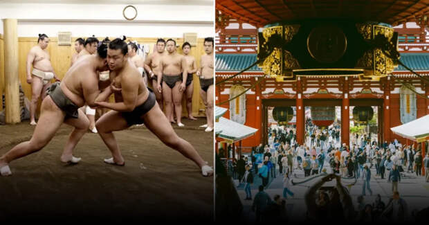 МИД РФ ожидает отмены ограничений на авиасообщение с Японией