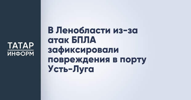 В Ленобласти из-за атак БПЛА зафиксировали повреждения в порту Усть-Луга