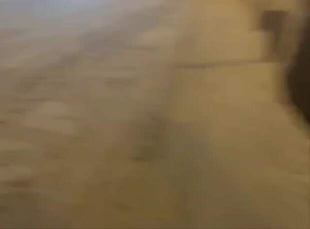 Снежный коллапс парализовал въезды в Москву — на дорогах огромные пробки, люди бросают машины и идут домой пешком.