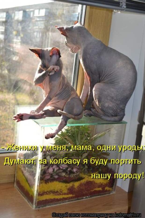 Женихи, мама, у меня одни уроды... Женихи, мама, у меня одни уроды...