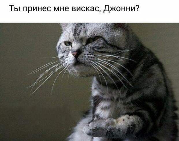Подборонька Подборонька