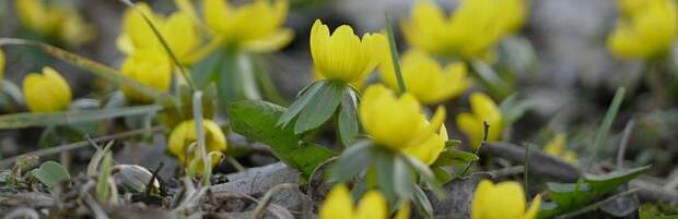 Майские праздники 2026: как отдохнут казахстанцы