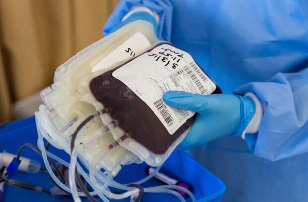 Севастопольские доноры за 2020 год сдали 6 тонн кров