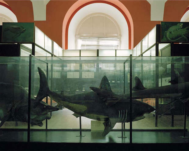 Потерянные во времени: фотограф отыскала музеи Москвы, которые давно никому не нужны