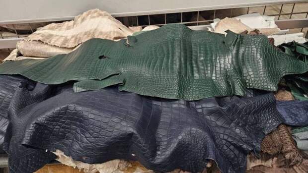 Экзотический гардероб: турист вёз из Китая 55 крокодилов — но только в виде шкур