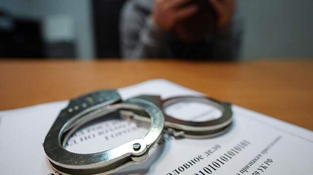 СК возбудил уголовное дело по факту избиения главы района в Пензенской области