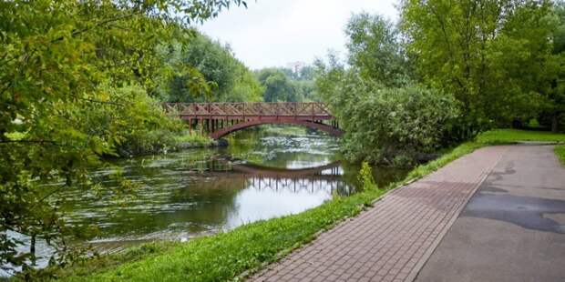 Сергунина: Новые точки притяжения появились в парках Москвы за лето
