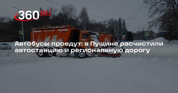 Снегопад в Пущине: последствия ликвидированы