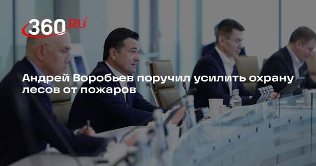 Андрей Воробьев поручил усилить охрану лесов от пожаров
