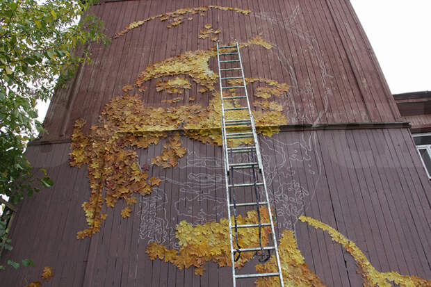 В Перми появился огромный портрет Юрия Шевчука из осенних листьев  Шевчук, листья, пермь